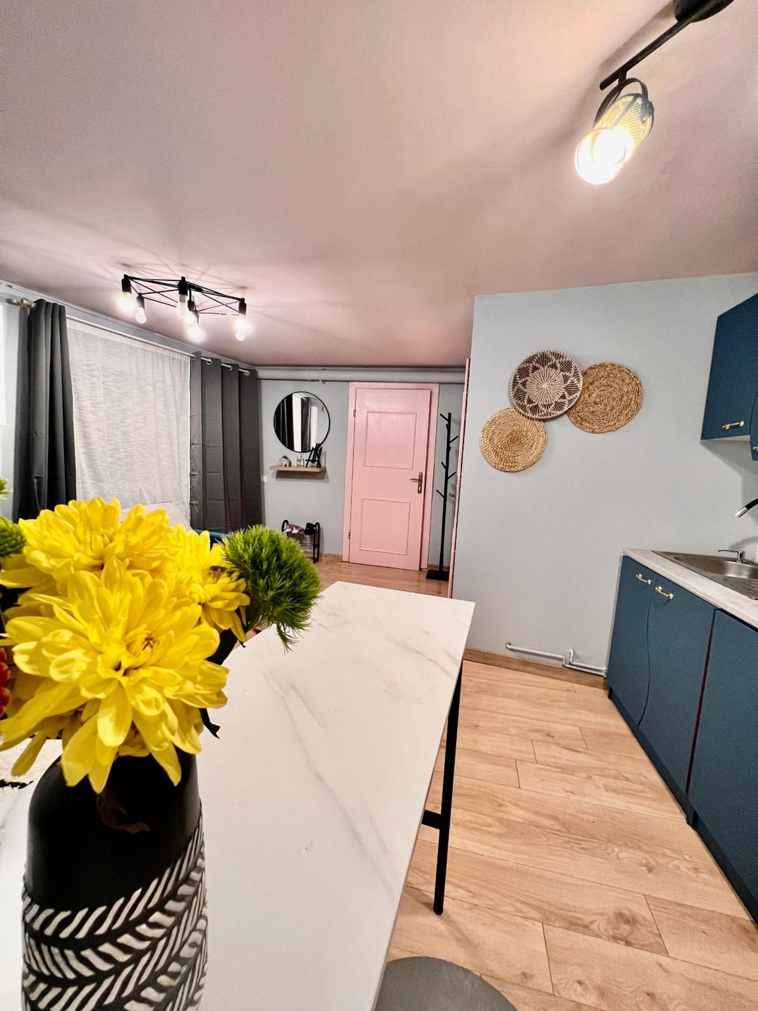 Old Town City Center Apartments ブラショフ エクステリア 写真